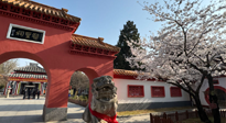 【行業(yè)資訊】新華財經(jīng)：守正創(chuàng)新，中醫(yī)藥品牌化發(fā)展“更上一層樓”！