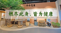 【艾草知識】小小艾草，渾身是寶，一生燃盡此身，皆為健康！