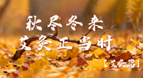 【健康/艾灸】秋盡冬來，艾灸正當(dāng)時——解鎖季節(jié)交替的養(yǎng)生密碼！